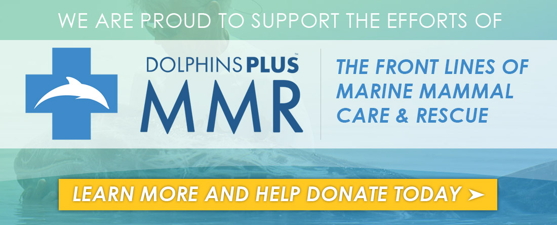 Dolphins Plus Marine Mammal Responder